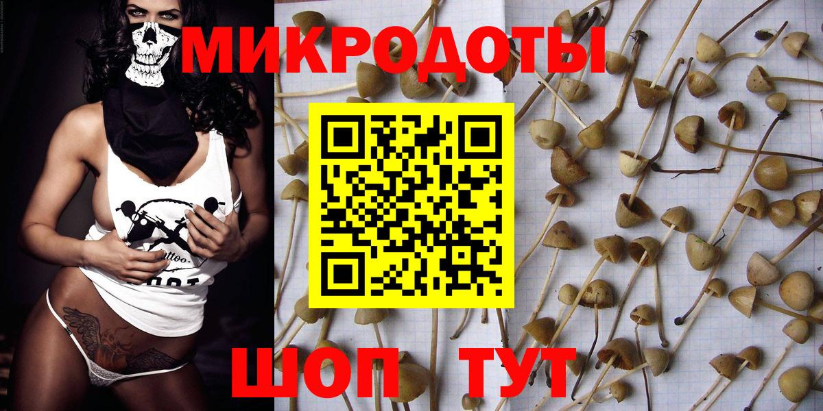 Псилоцибиновые грибы мухоморы Алейск