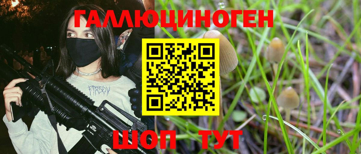 Галлюциногенные грибы Psilocybine cubensis  Вход с VPN  Алейск  Псилоцибиновые грибы прущие грибы 